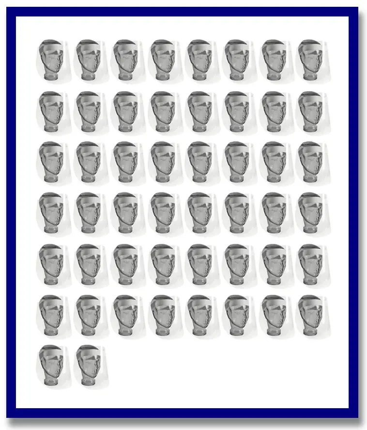 Maxisafe Disposable Clear Faceshield (Carton - 50 Pcs) 1