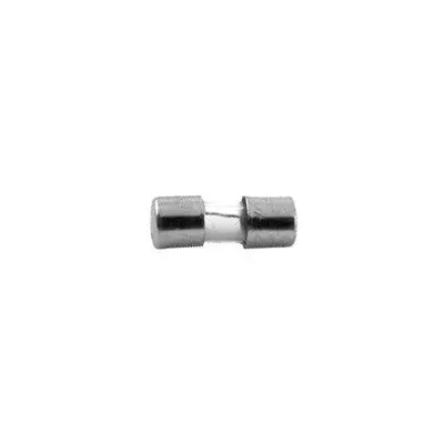 Fast Blow Fuse - 3.6X10mm 1.0 Amp, Pkg/5 (74-3Fg1a-B) 1